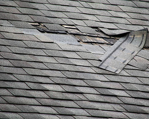 Damaged Roof Shingles in Anchorage, AK